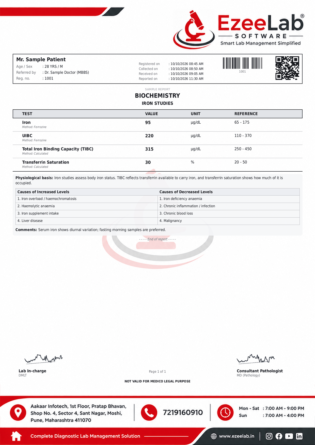 Iron Studies Report Format