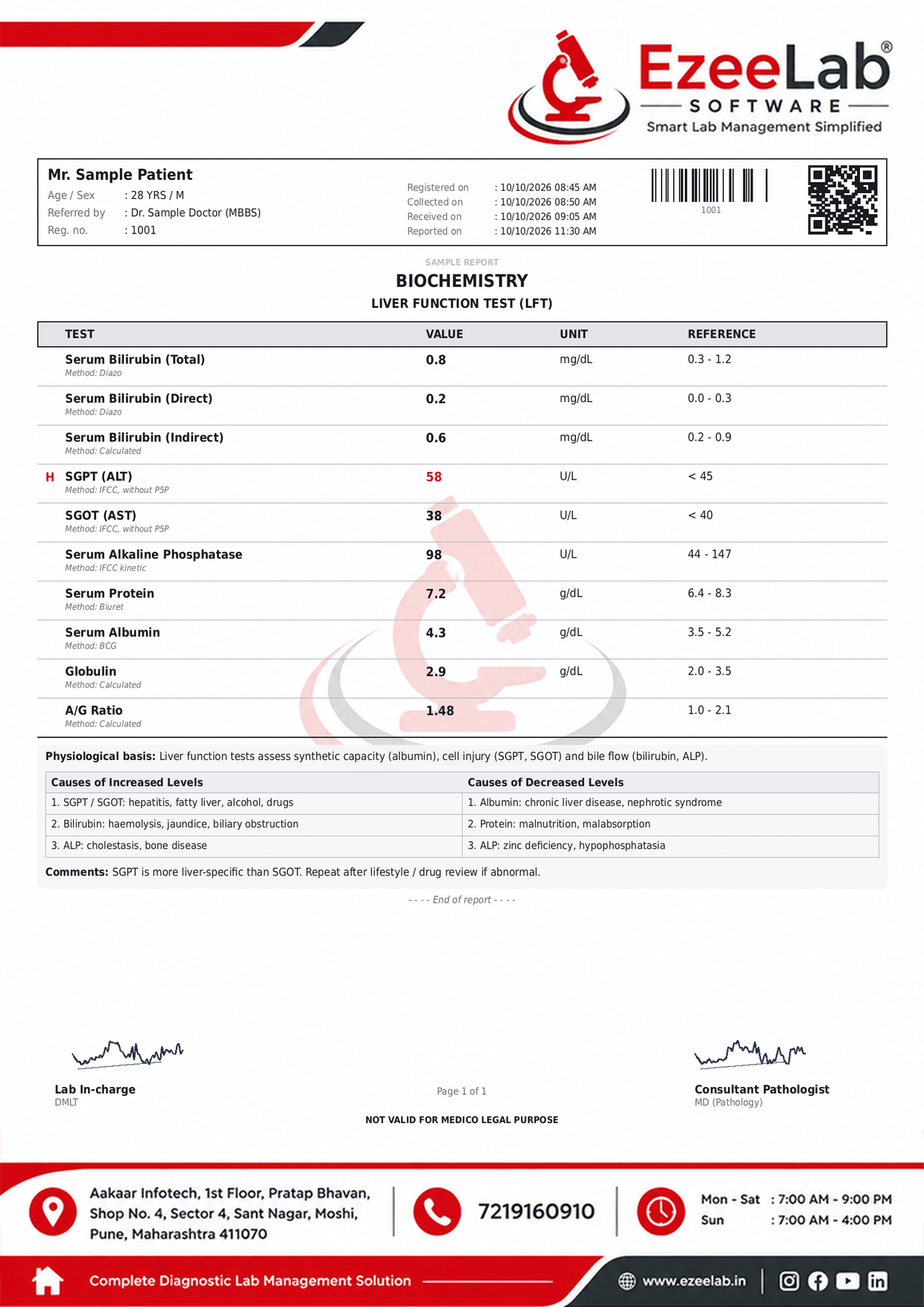 Liver Function Test (LFT) Report Format