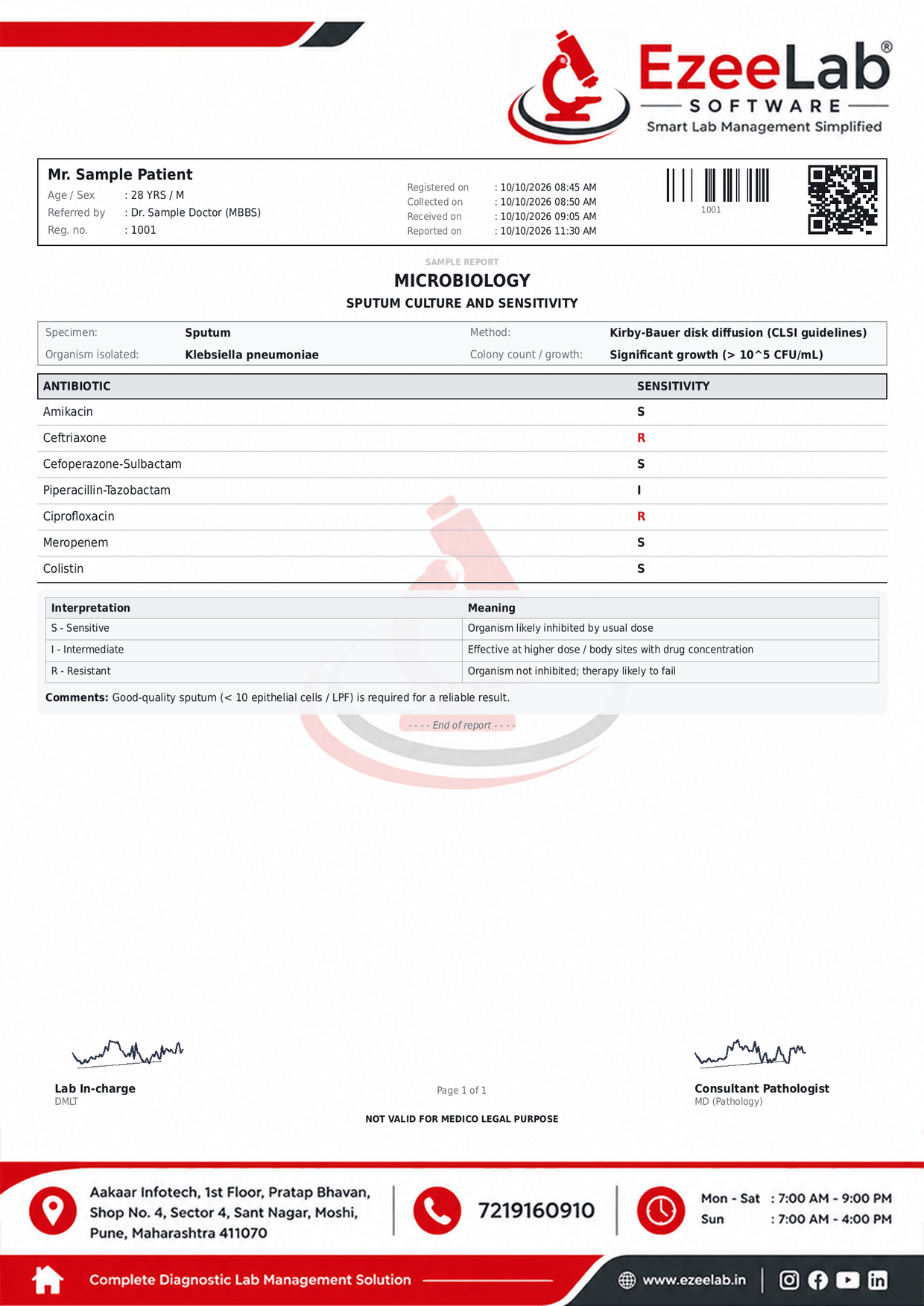 Sputum Culture and Sensitivity Report Format